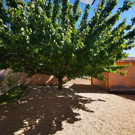 Avec Grande Piscine Et Sa Terrasse Privative *